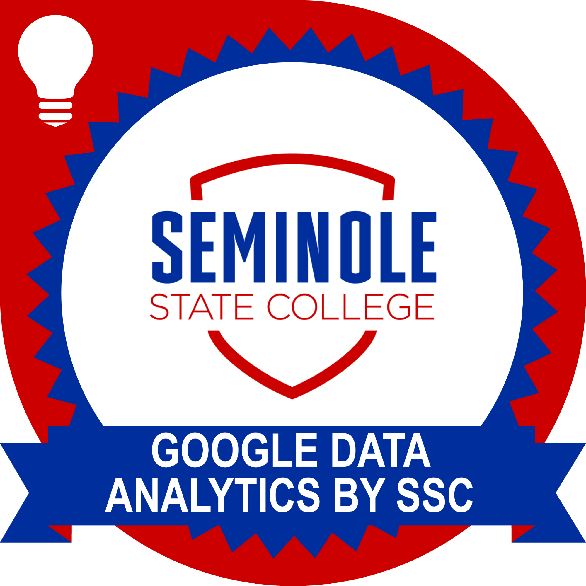 Google Data Analytics by SSC