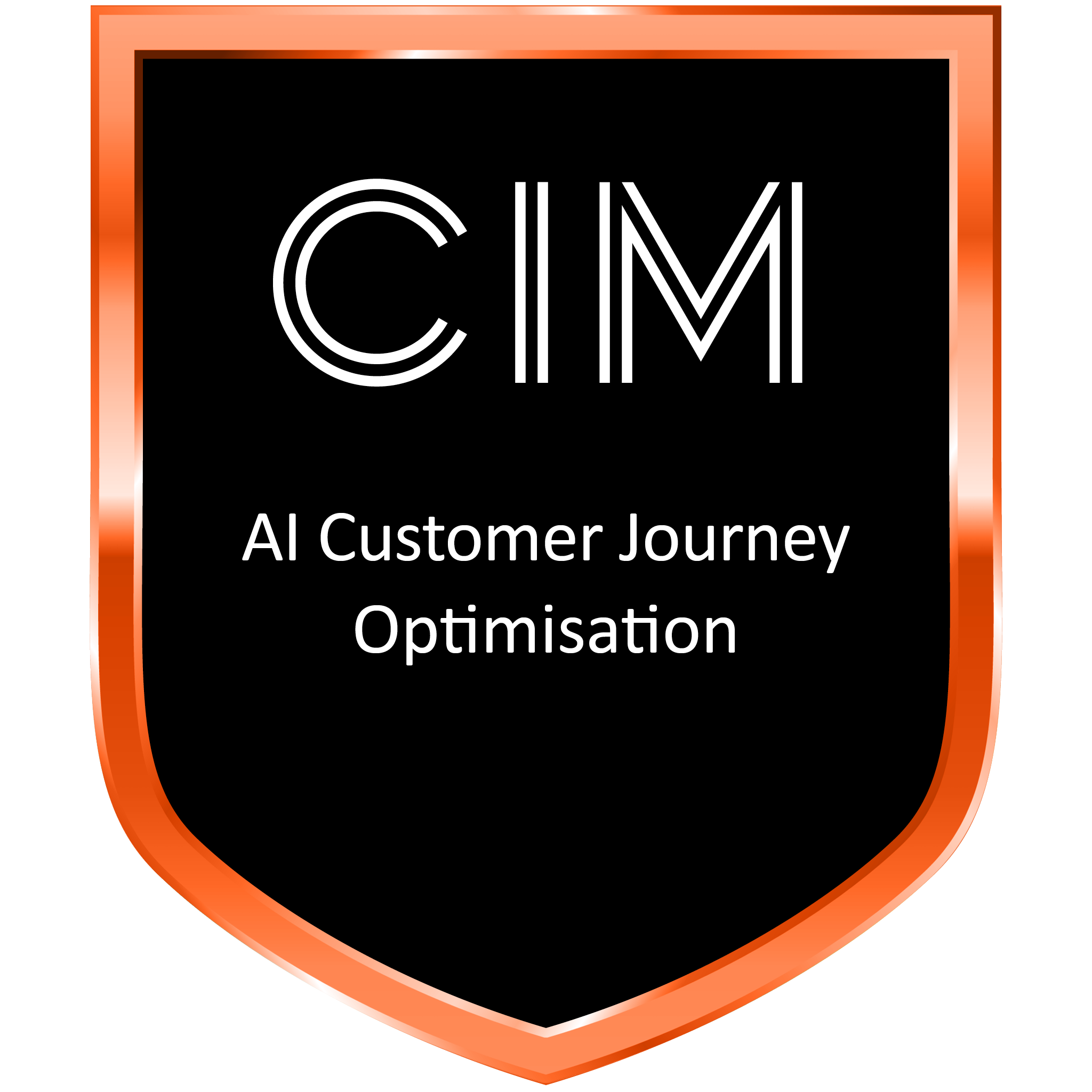 AI Customer Journey Optimisation