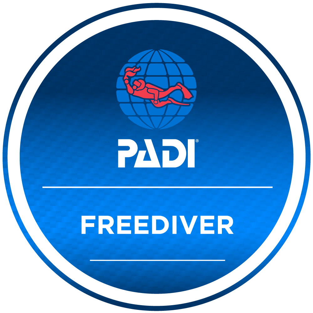 Freediver (v.2)