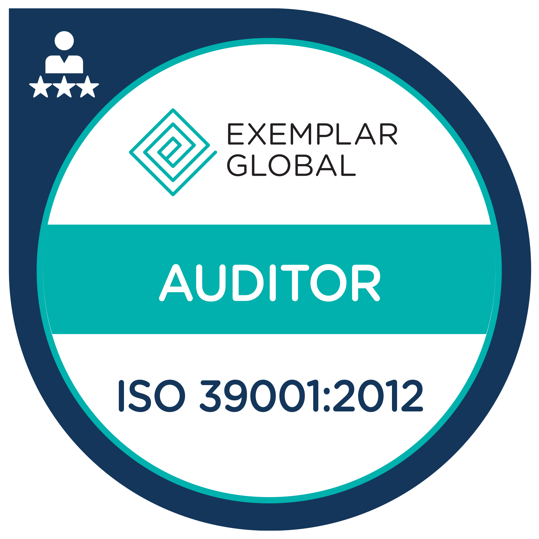 Certified Road Traffic Safety Management Systems Auditor