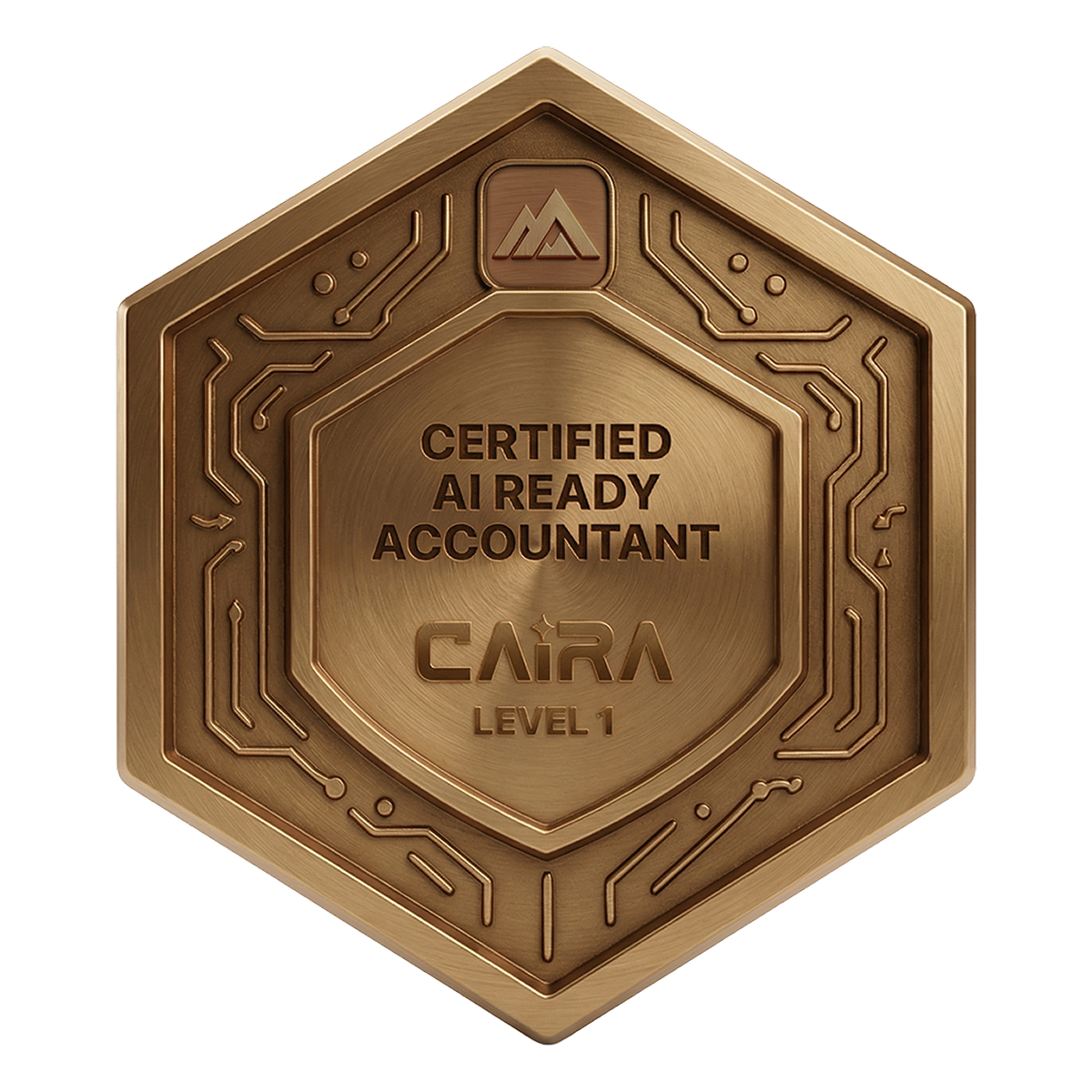 Certified AI-Ready Accountantᴵᴾ (CAIRA): Level I