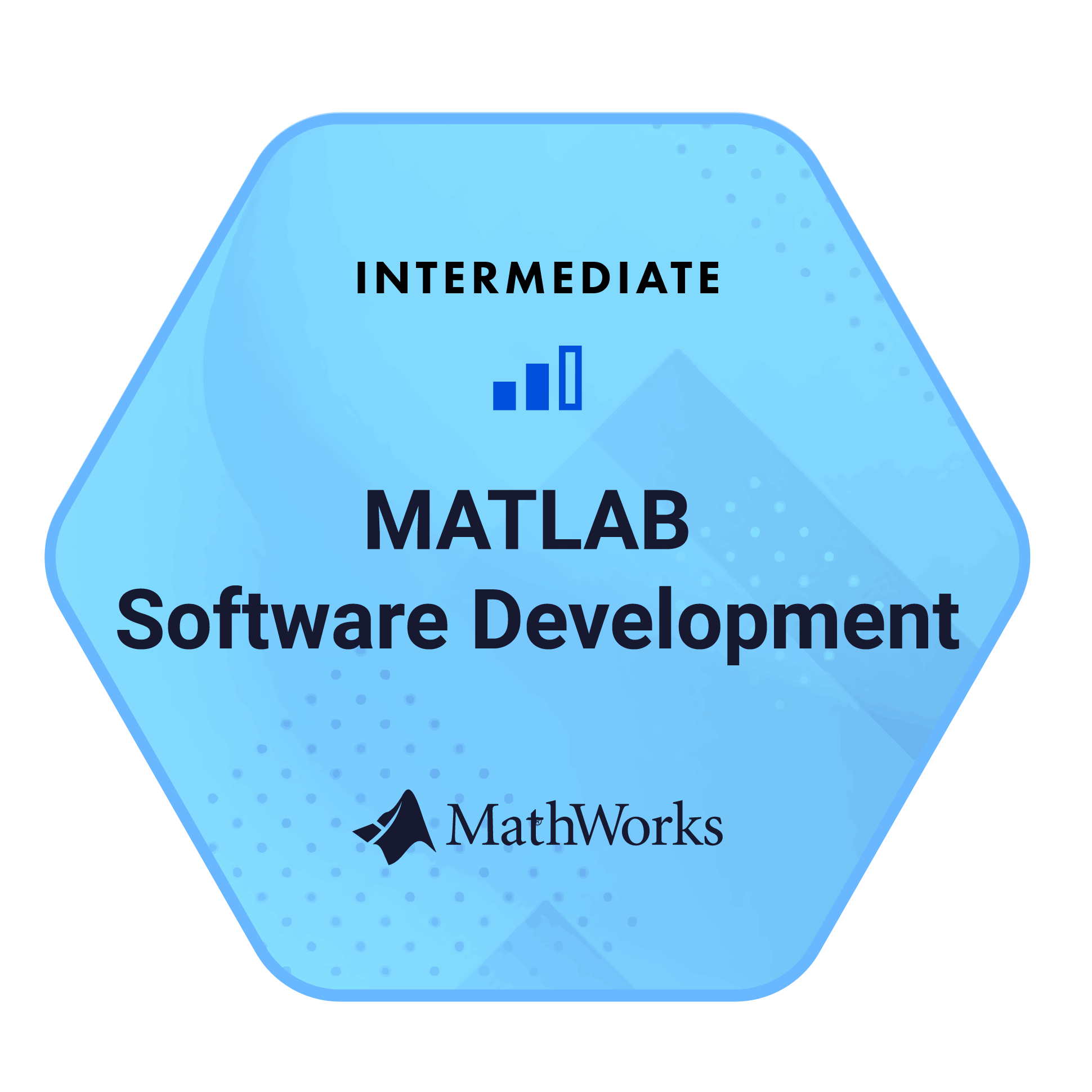 MATLAB Software Development