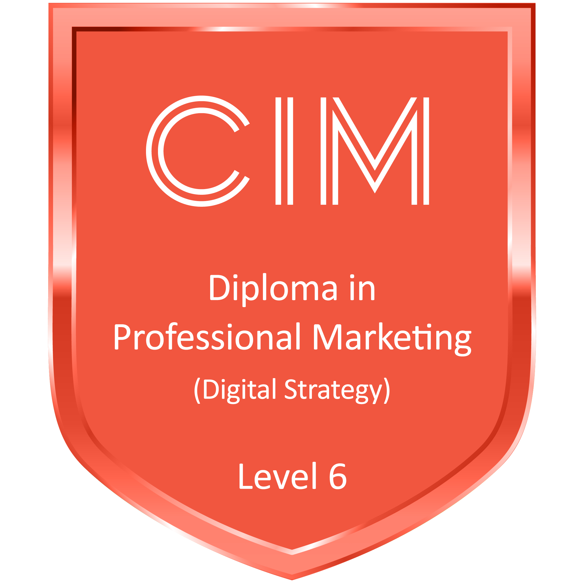 Diploma in Professional Marketing (Digital Strategy)