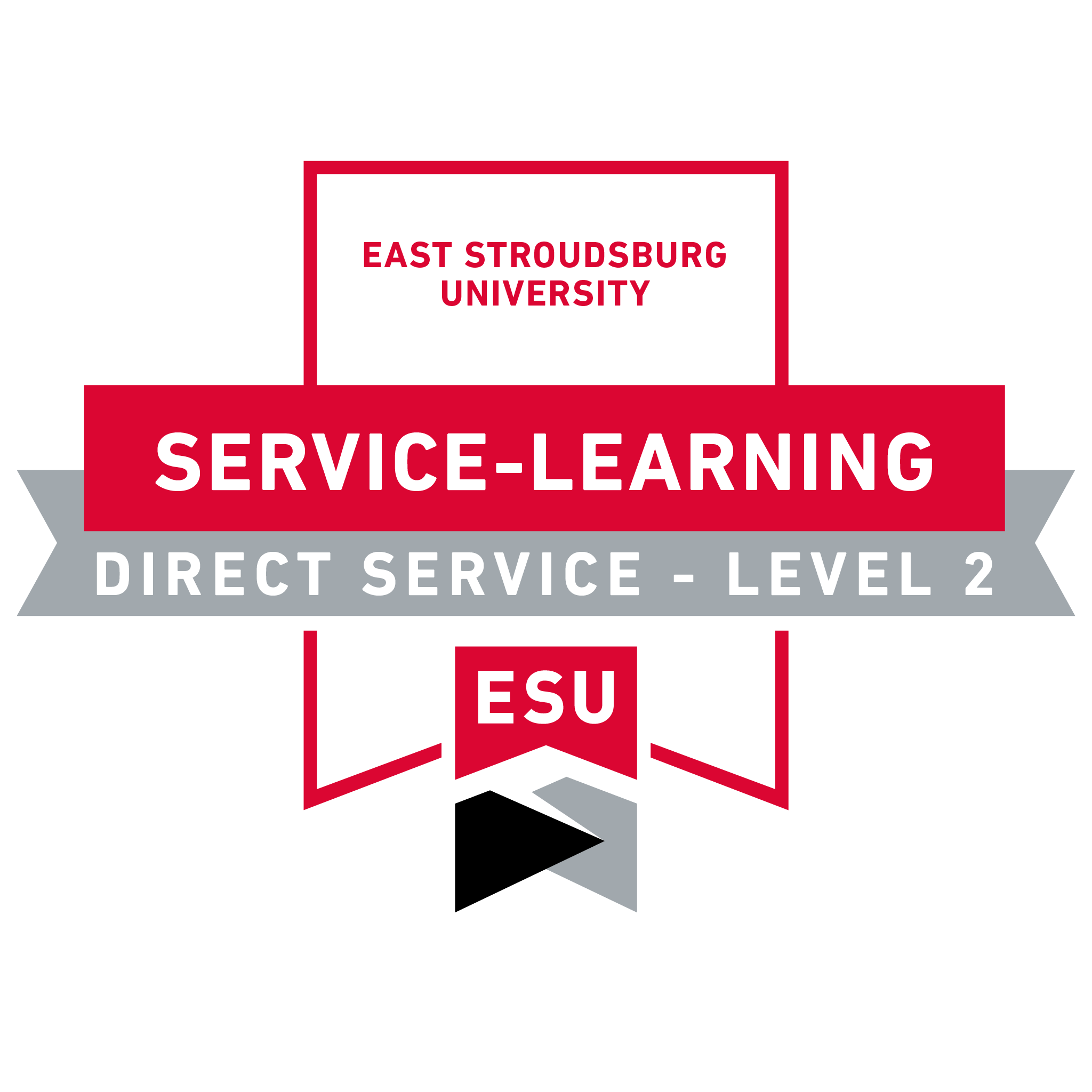 SL: Direct Service-Learning Level 2