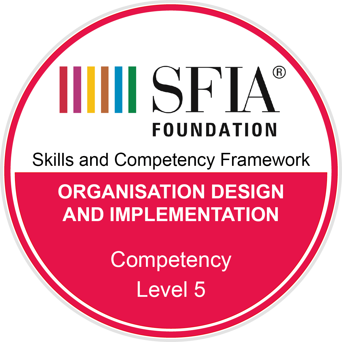 Organisation design and implementation - Competency - Level 5
