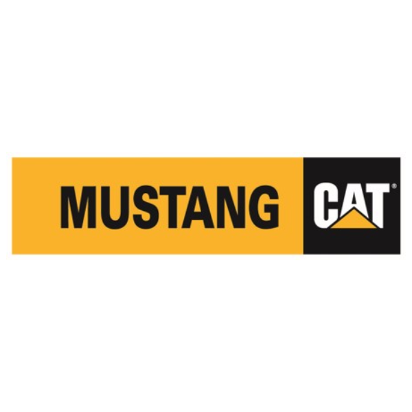 Mustang Cat Credly