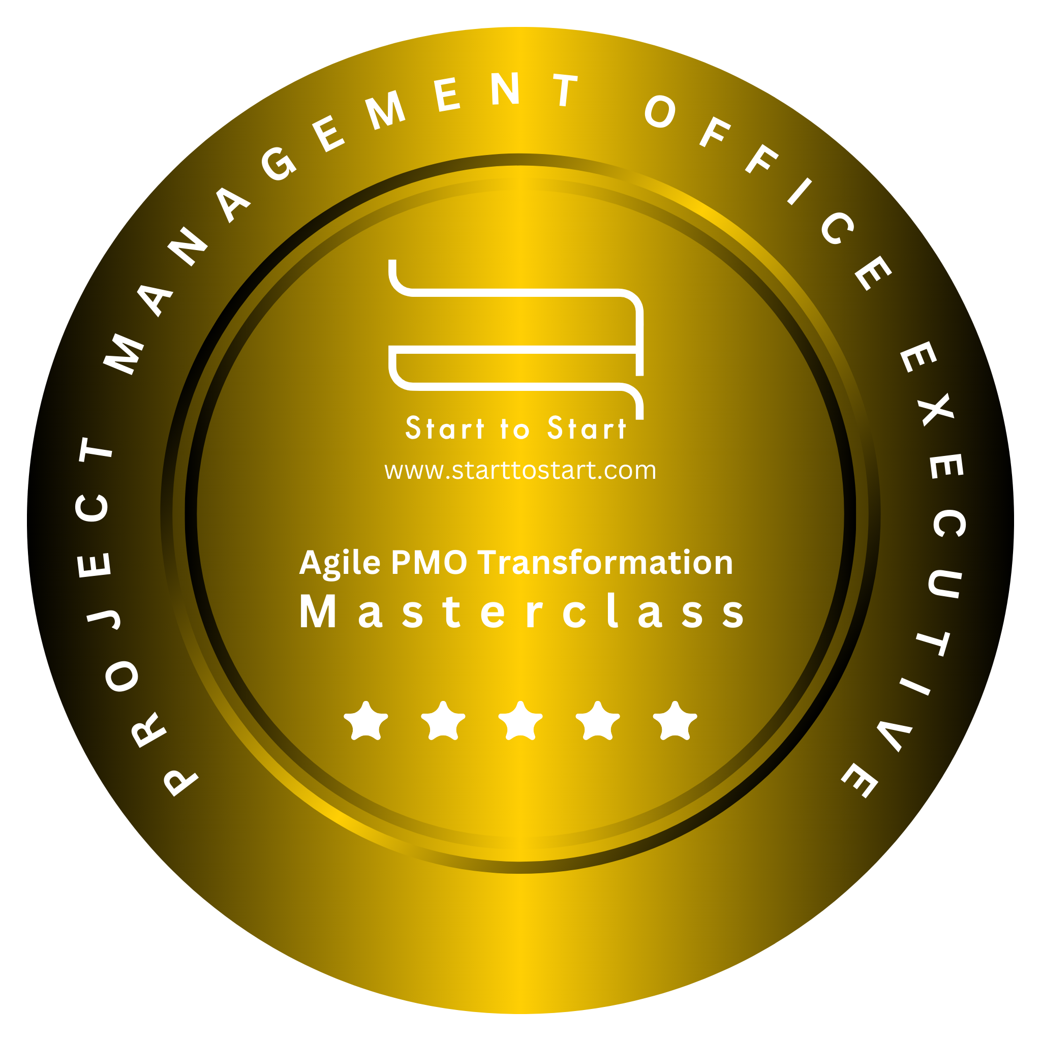 Agile PMO Transformation Masterclass for IT Executives