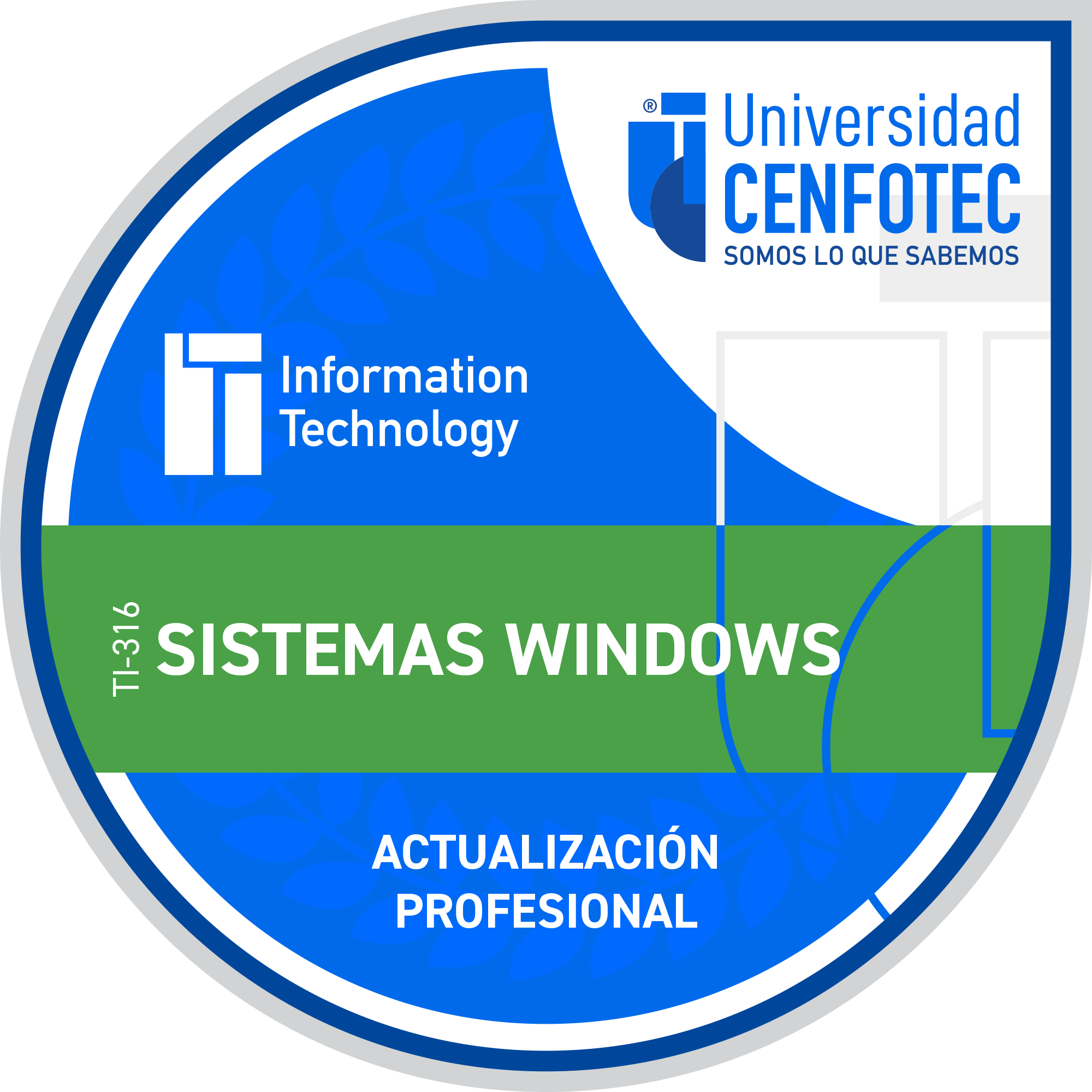 Sistemas Windows