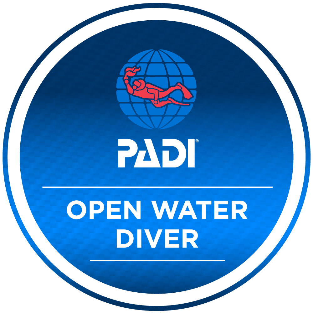 Open Water Diver (v.4)