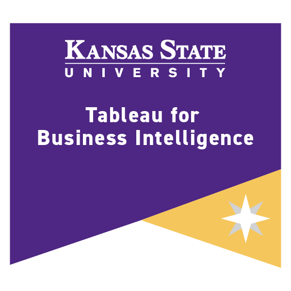 Tableau for Business Intelligence