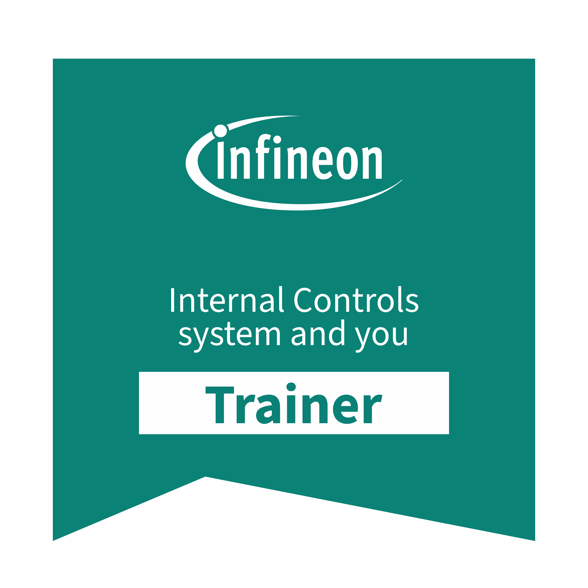 Trainer for Internal Controls system and you