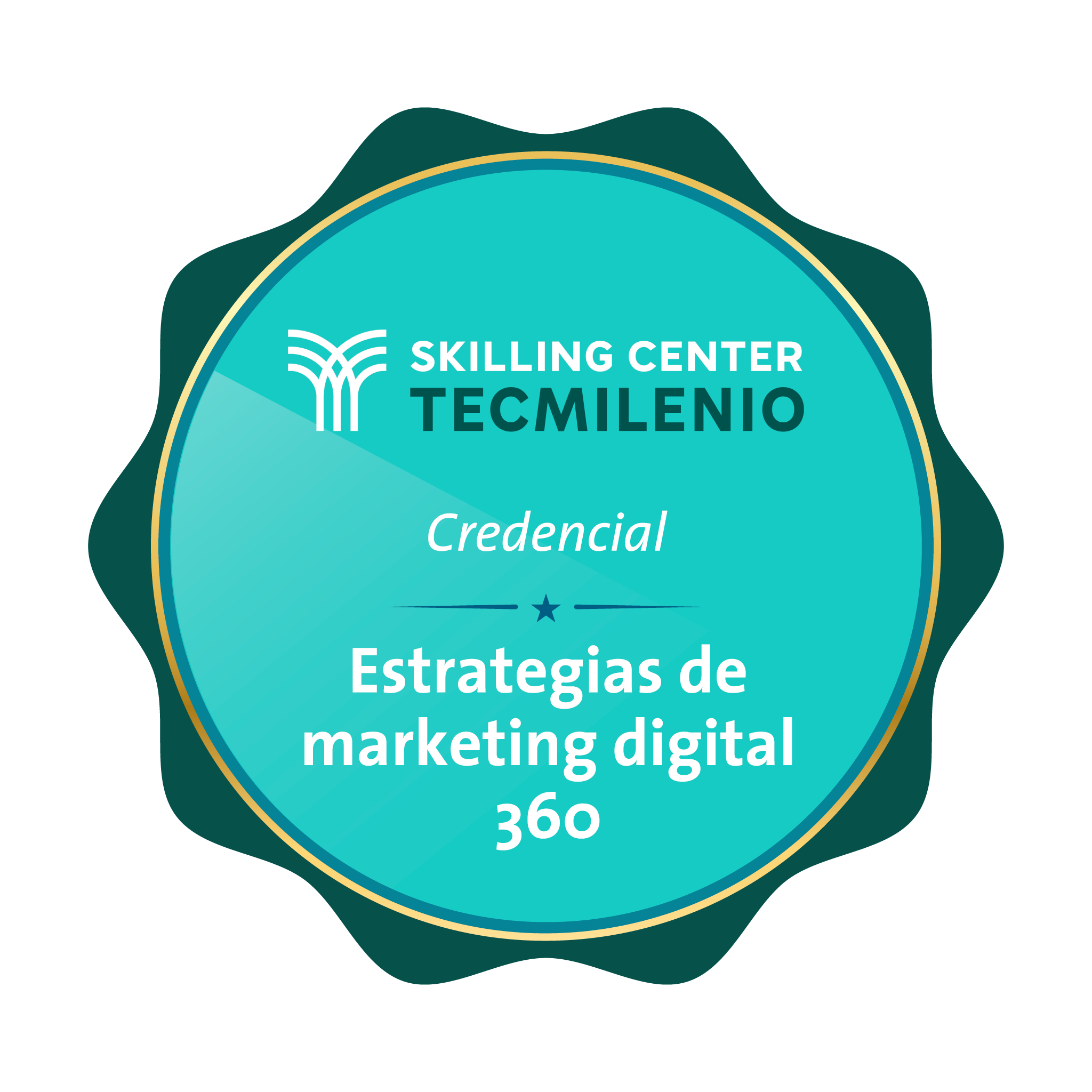 Credencial Estrategias de Marketing Digital 360