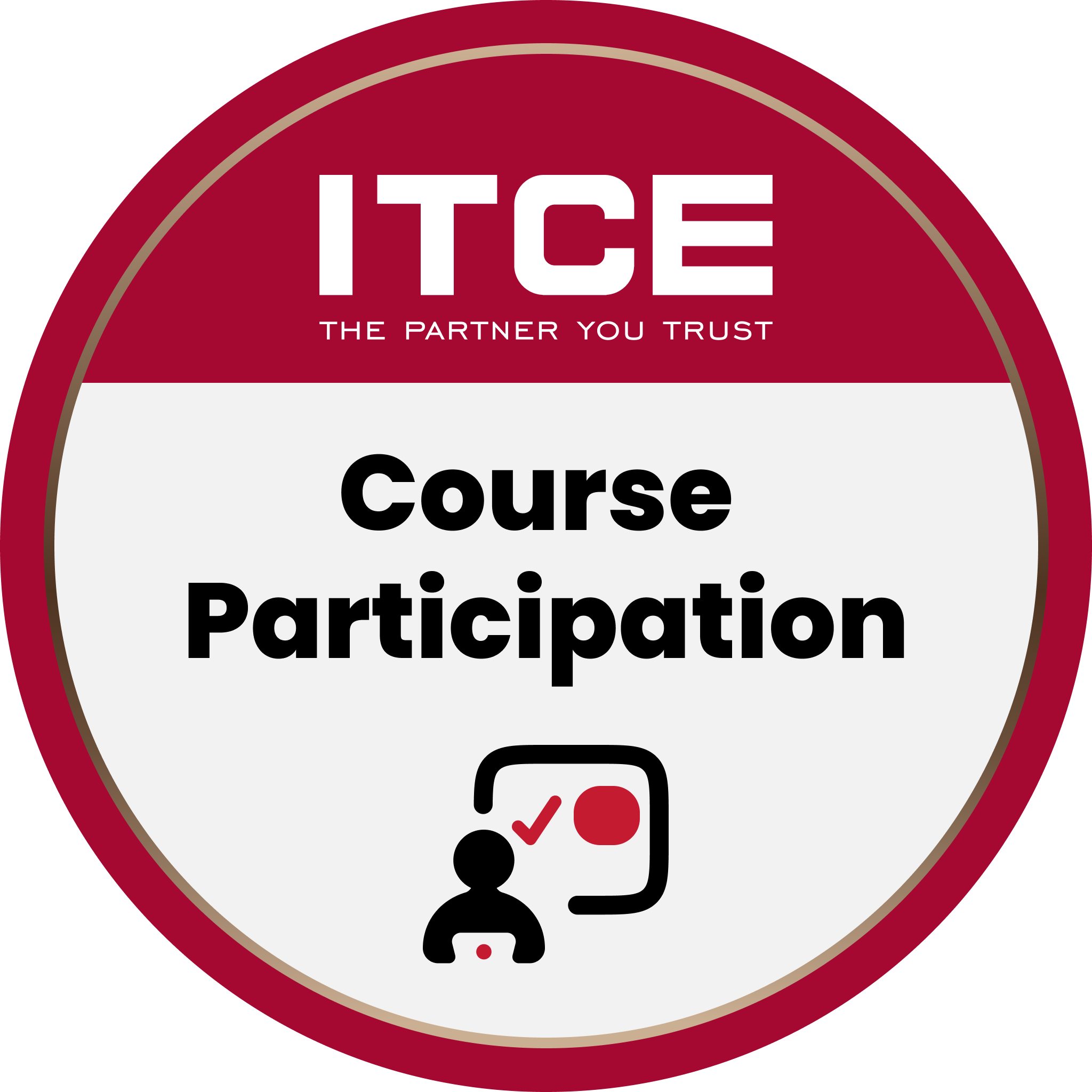 Course Participation (DITS)