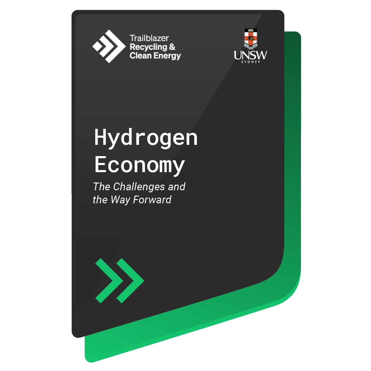 Hydrogen Economy: The Challenges and the Way Forward