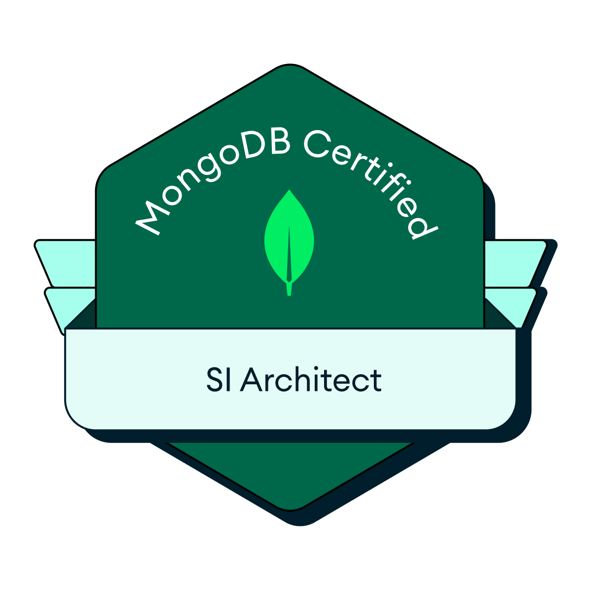 SI Architect Certification