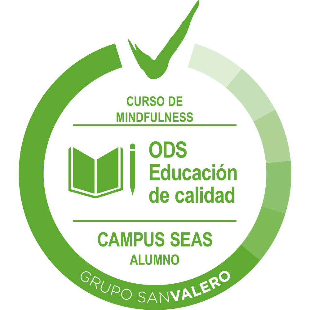 Curso de Mindfulness Campus SEAS.