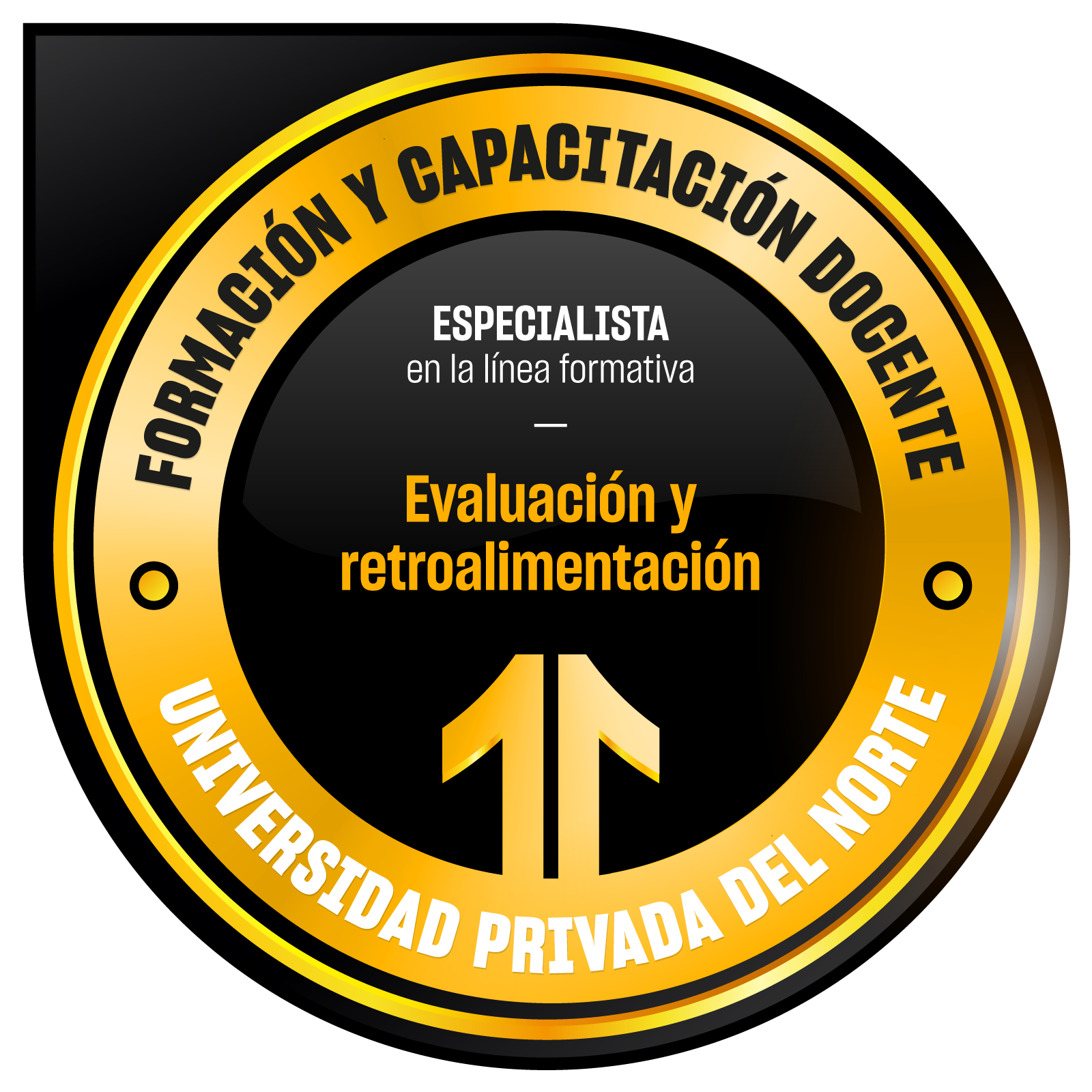 Programa de Formación Pedagógica: Especialista en la línea formativa Evaluación y retroalimentación