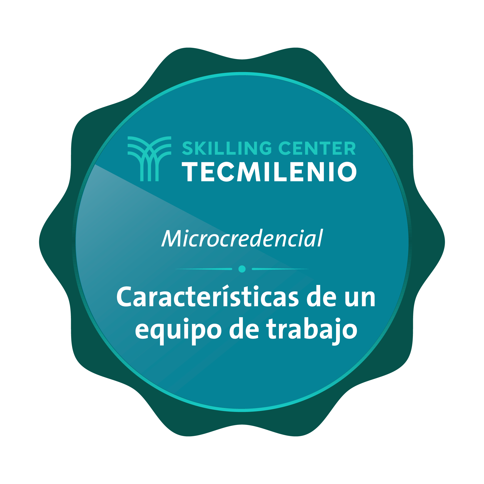 Microcredencial Características de un equipo de trabajo