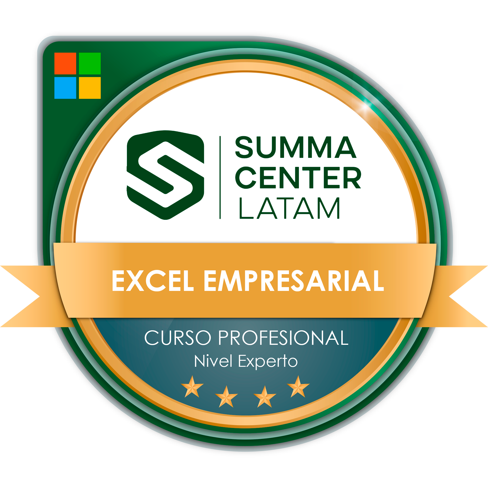 Excel Empresarial Nivel Experto - Platinum
