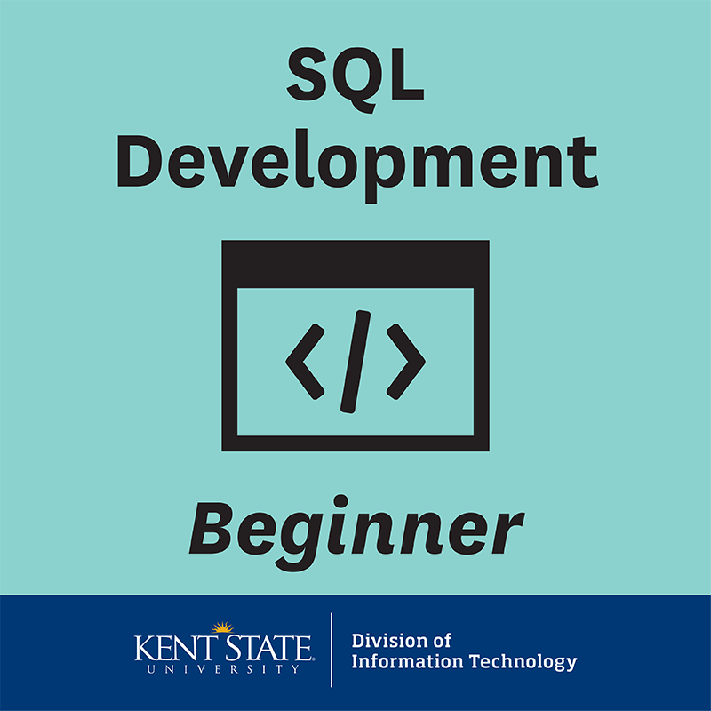 SQL Development - Beginner