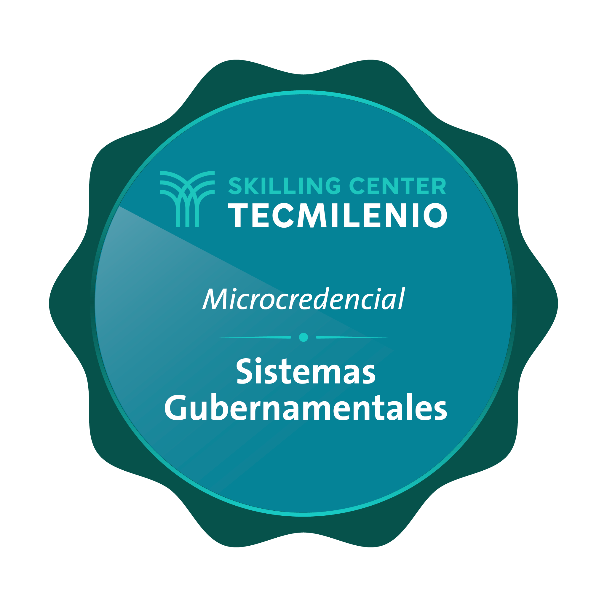 Microcredencial Sistemas gubernamentales