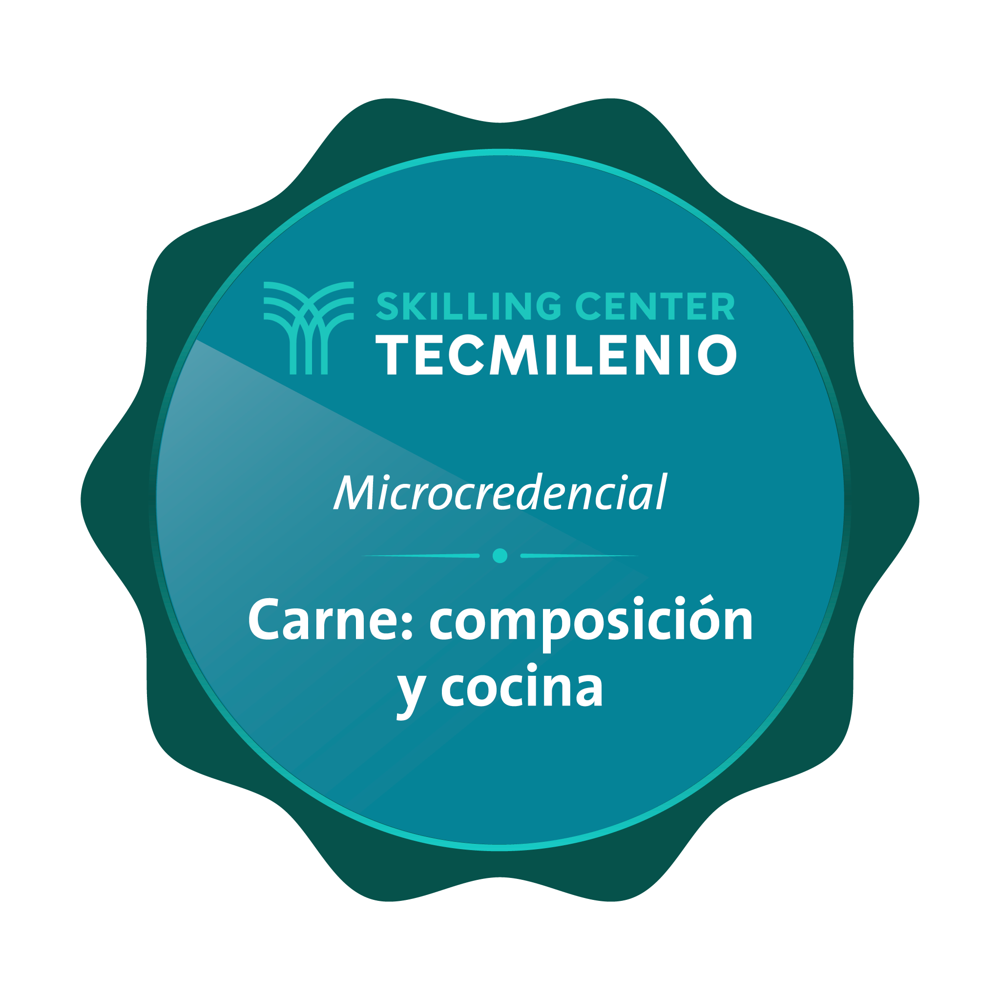 Microcredencial Carne: composición y cocina