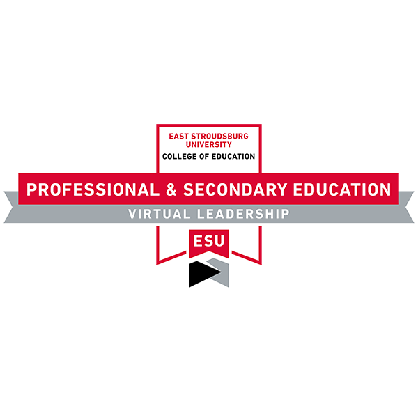 Virtual Leadership: Ethics and Professional Norms