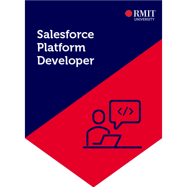 Salesforce Platform Developer