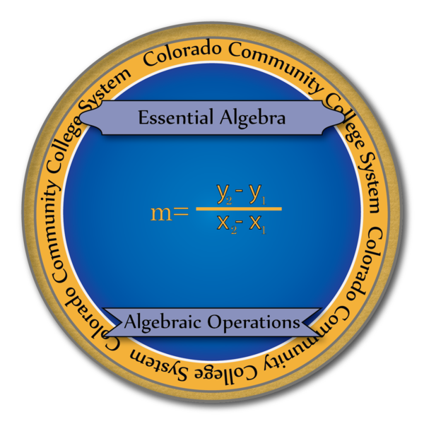 Math-Algebraic Functions Skills Badge