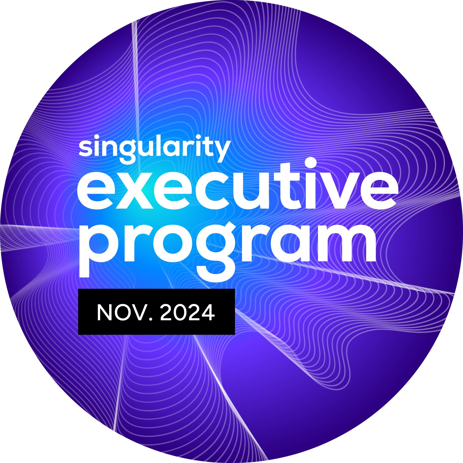 Singularity Executive Program - November 2024