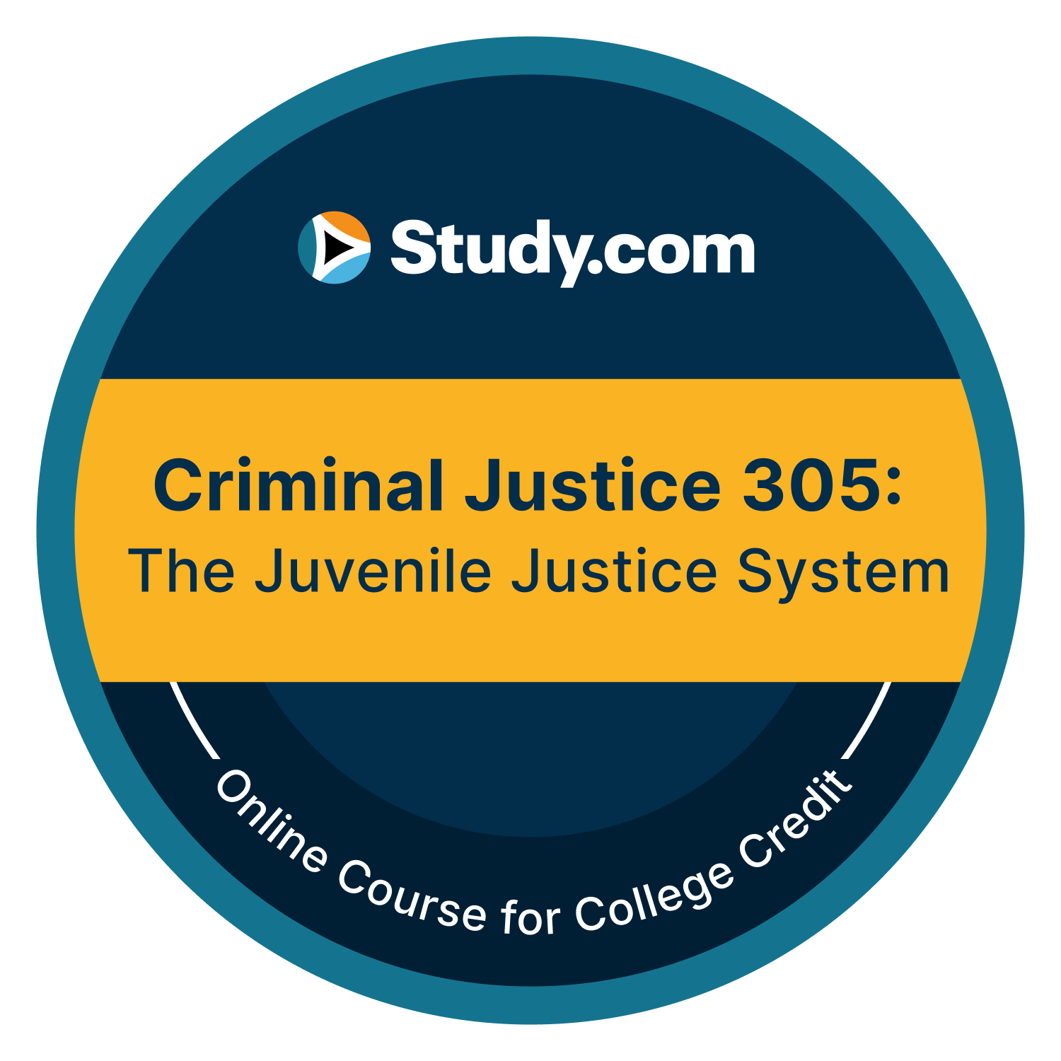 Criminal Justice 305: The Juvenile Justice System (v.3)
