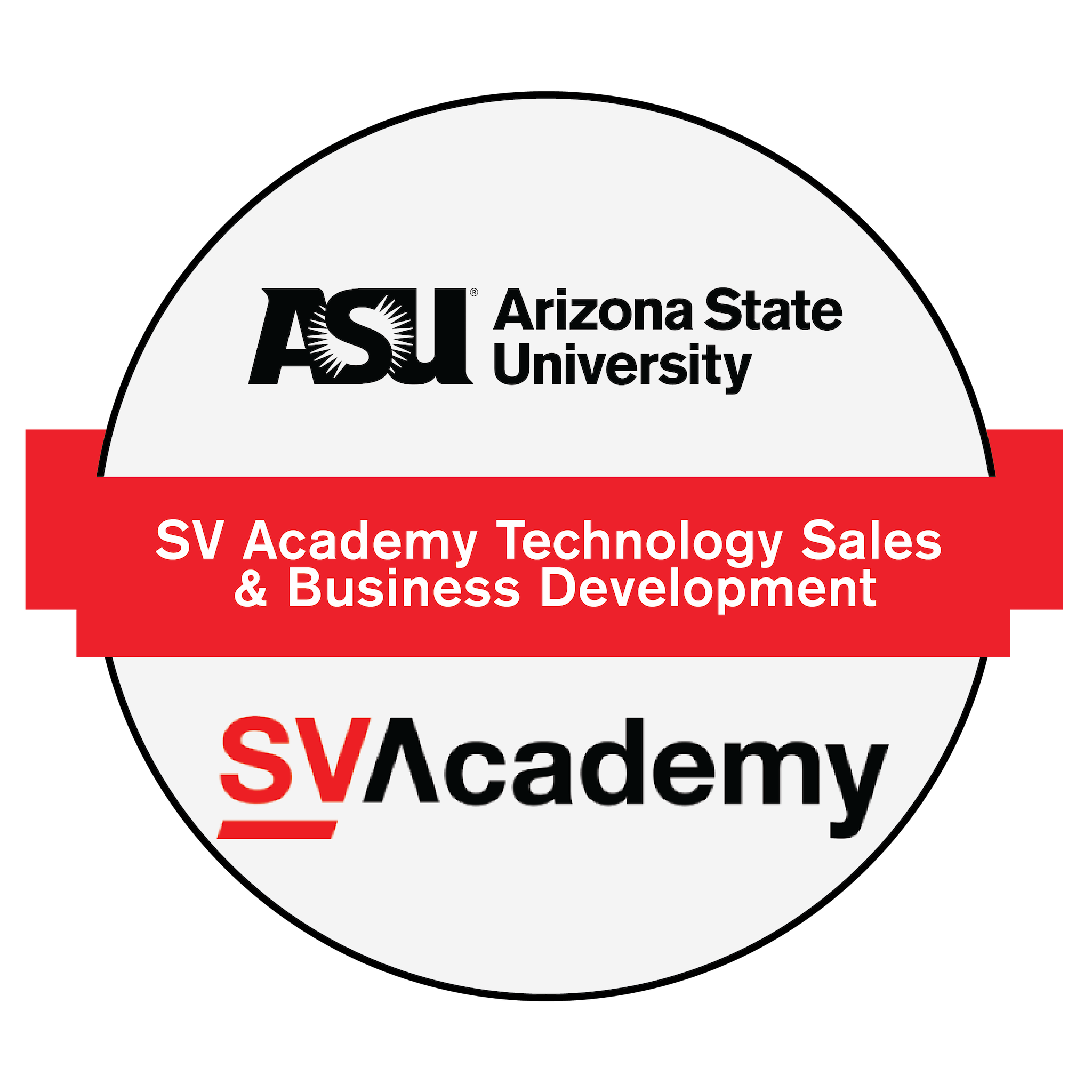 SV Academy Technology Sales & Business Development Certificate