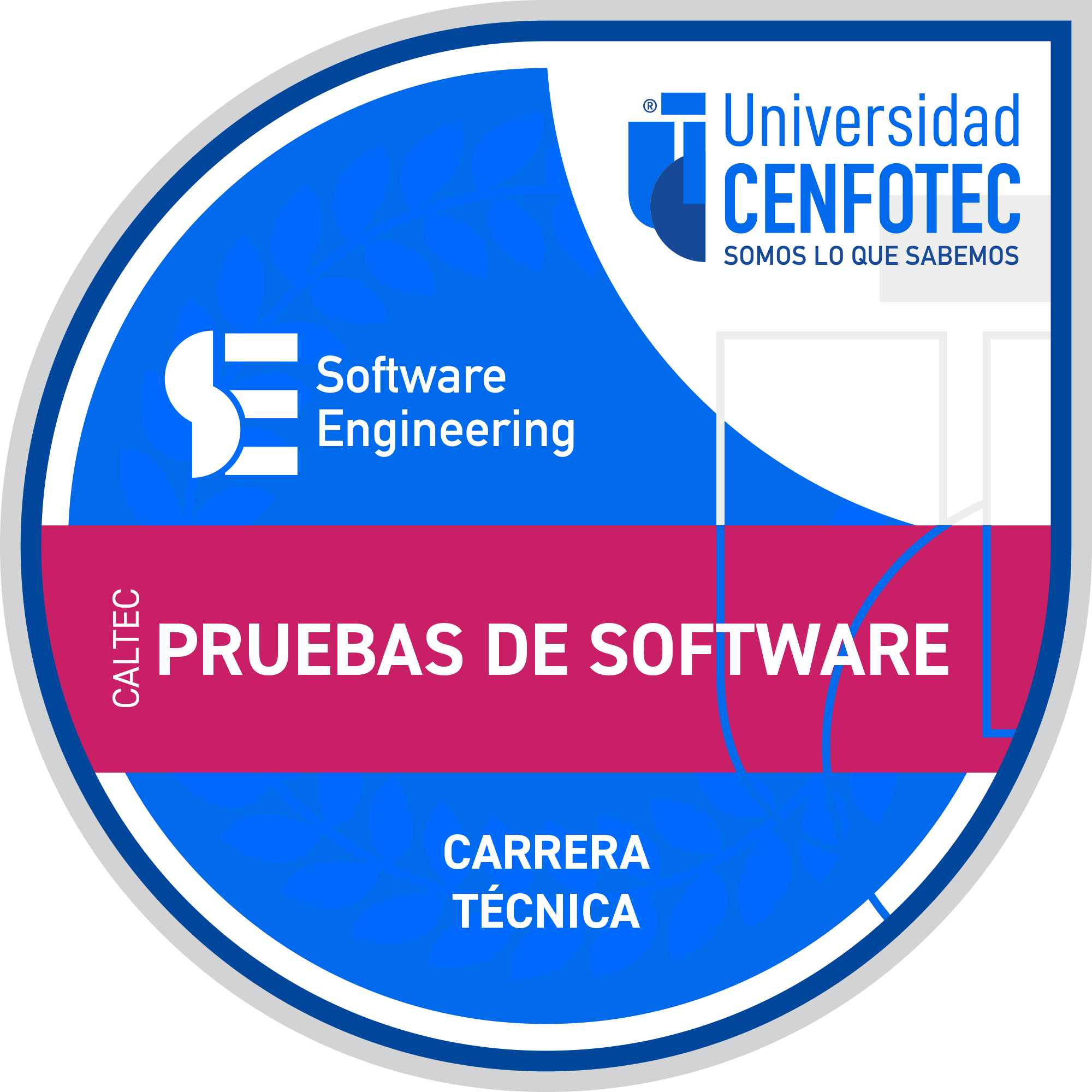 Técnico Superior en Pruebas del Software