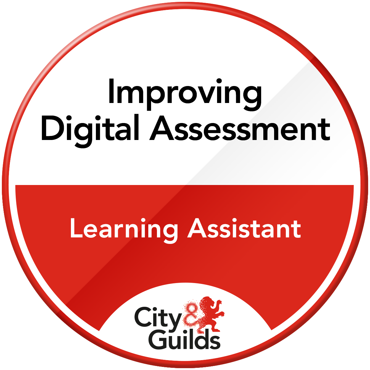Improving Digital Assessment through the use of Learning Assistant
