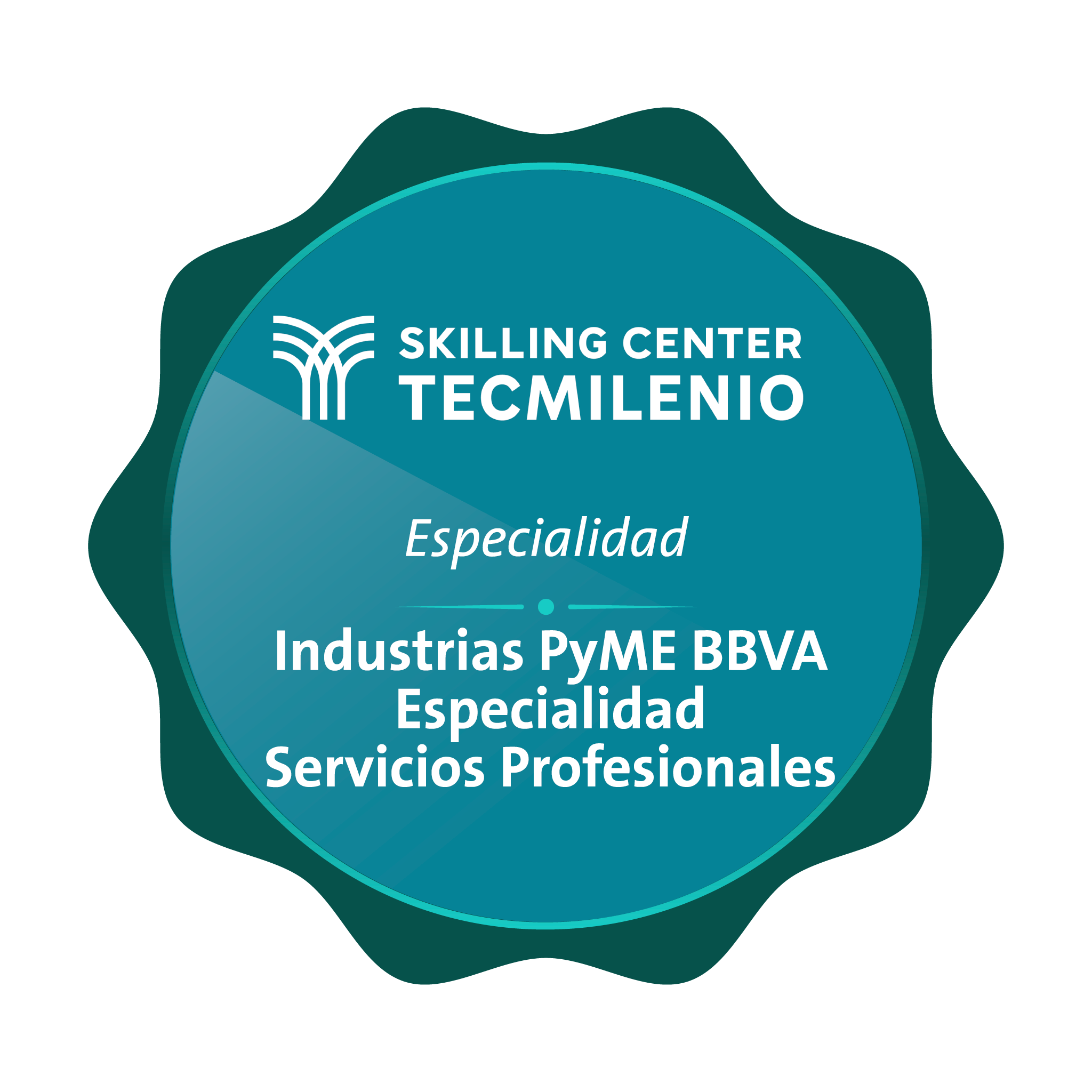 Industrias PyME BBVA - Servicios Profesionales