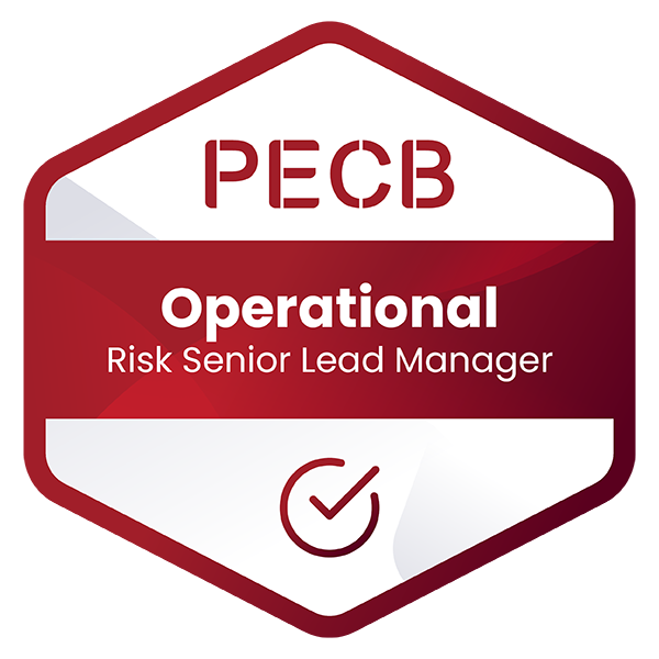 Operational Risk Senior Lead Manager