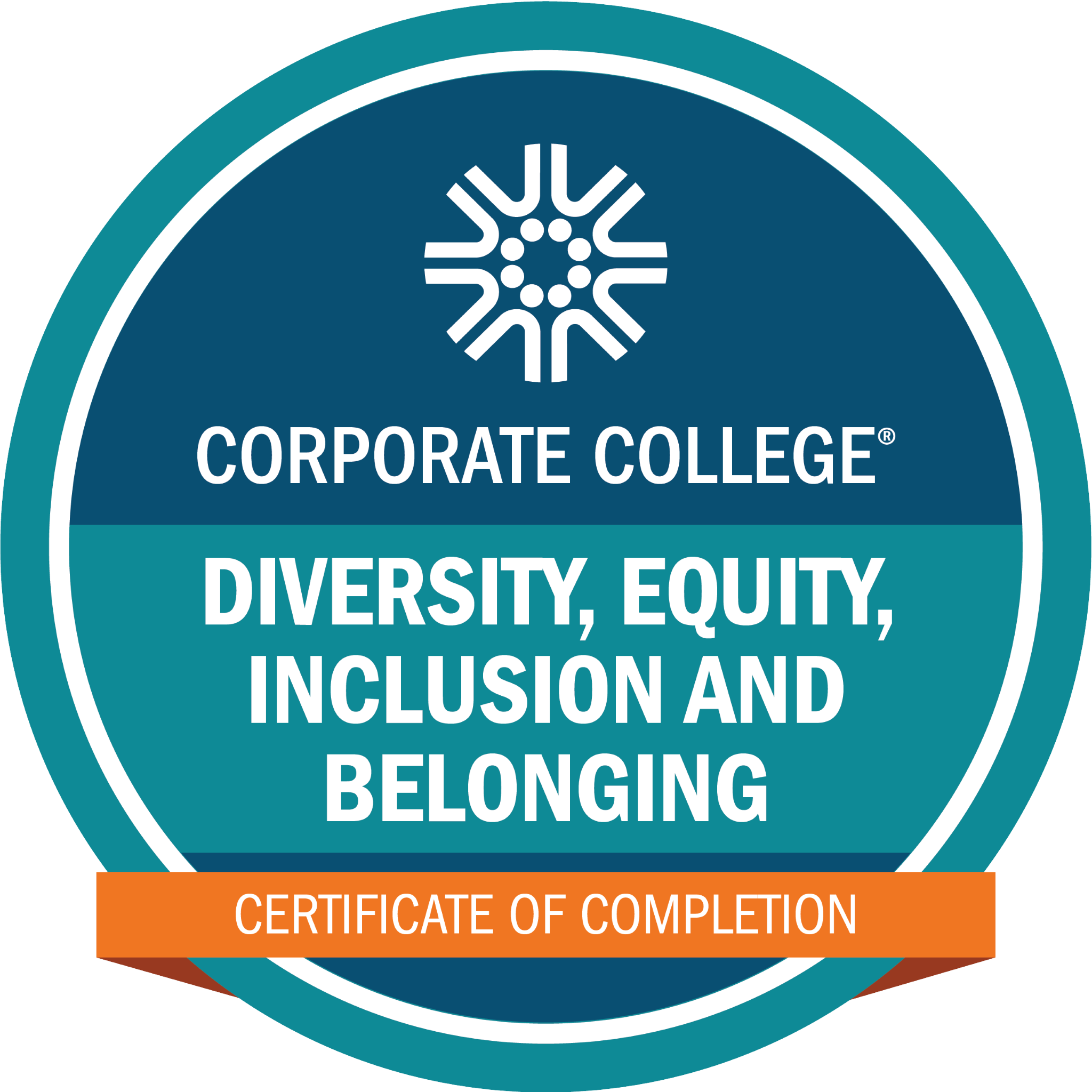 Diversity, Equity, Inclusion, and Belonging