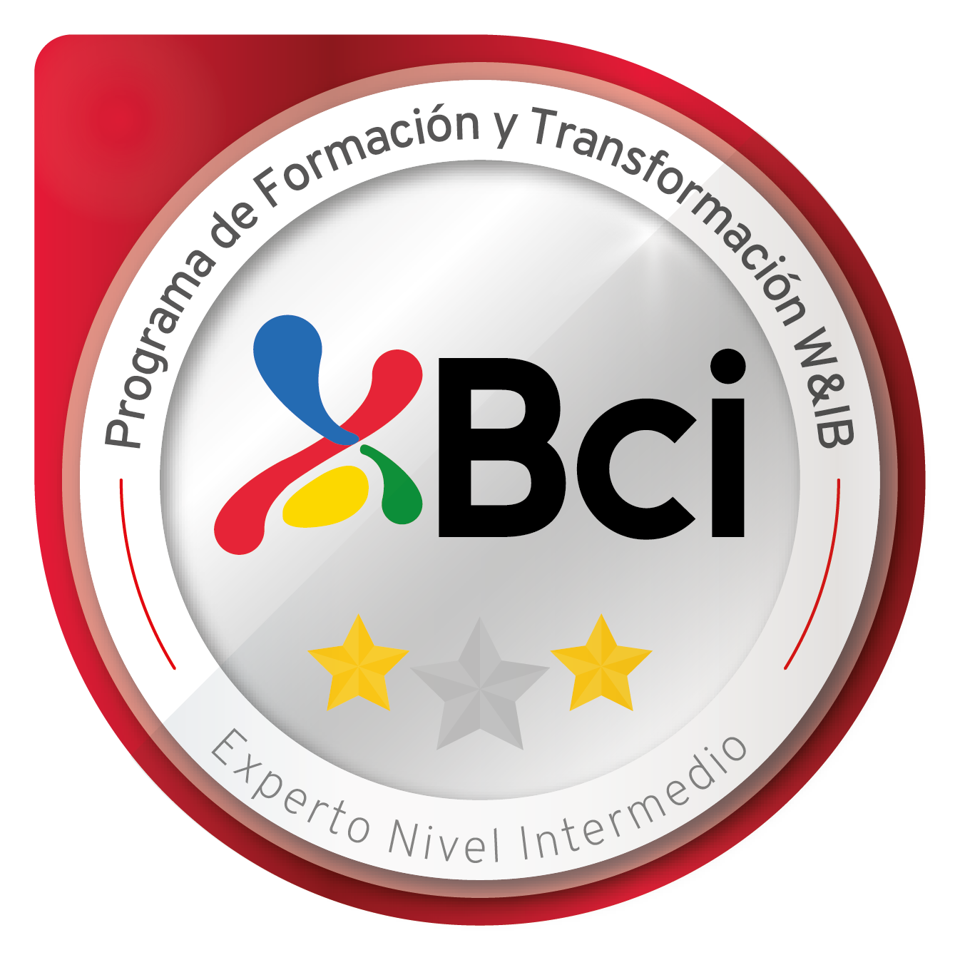 Especialista Transformación W&IB