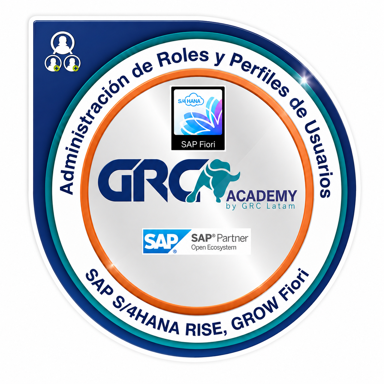 Administración de Roles y Perfiles de Usuarios SAP S/4HANA Fiori
