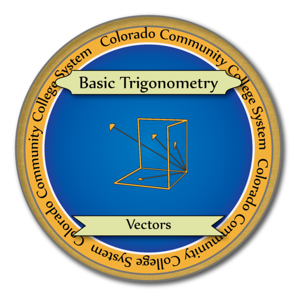 Math-Vectors Skills Badge