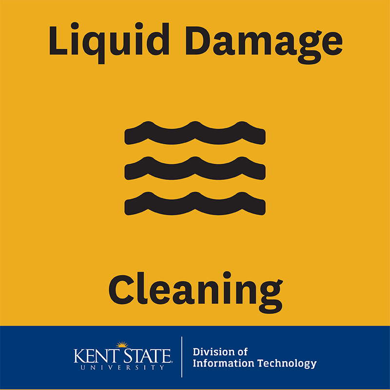 Liquid Damage Cleaning