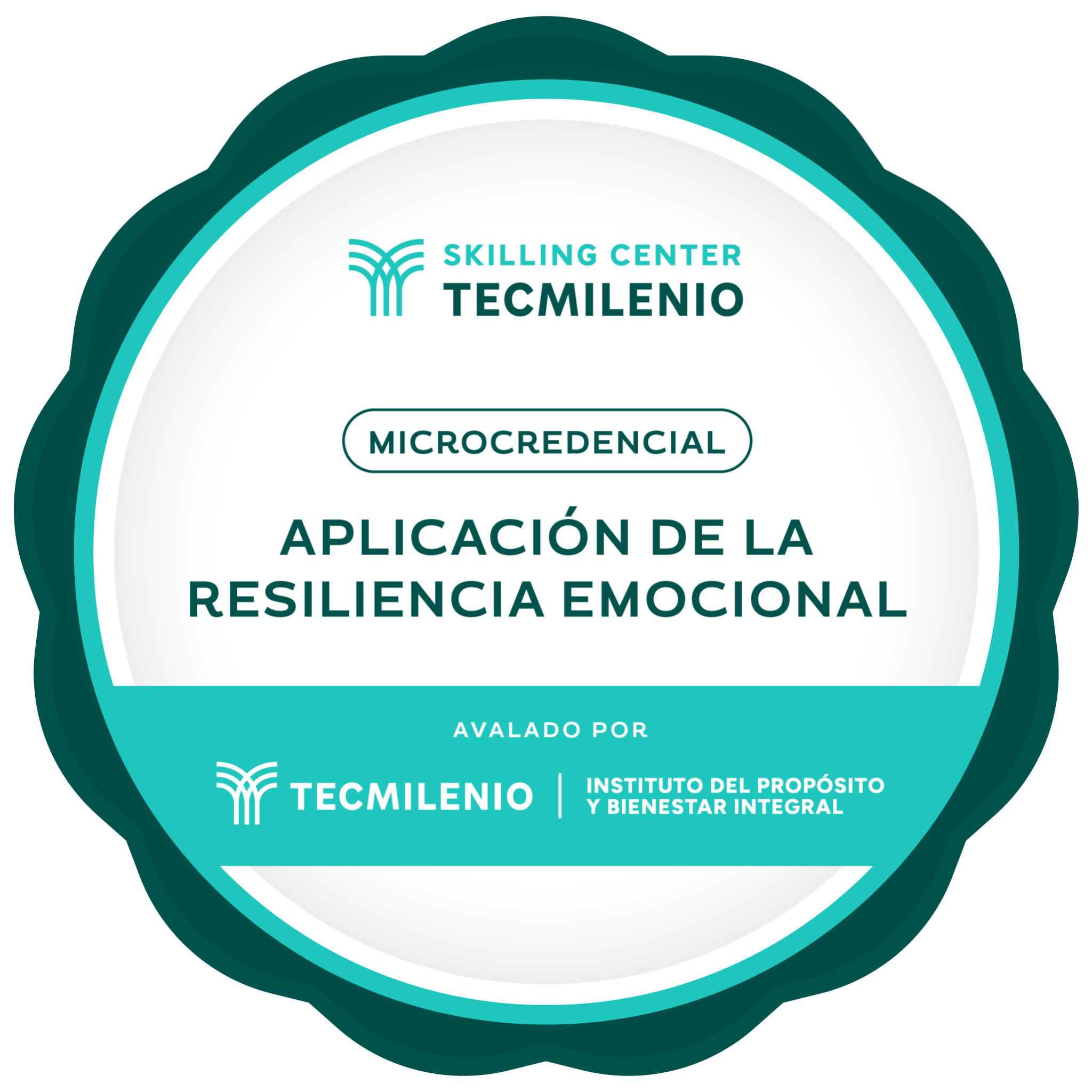 Microcredencial Aplicación de la resiliencia emocional