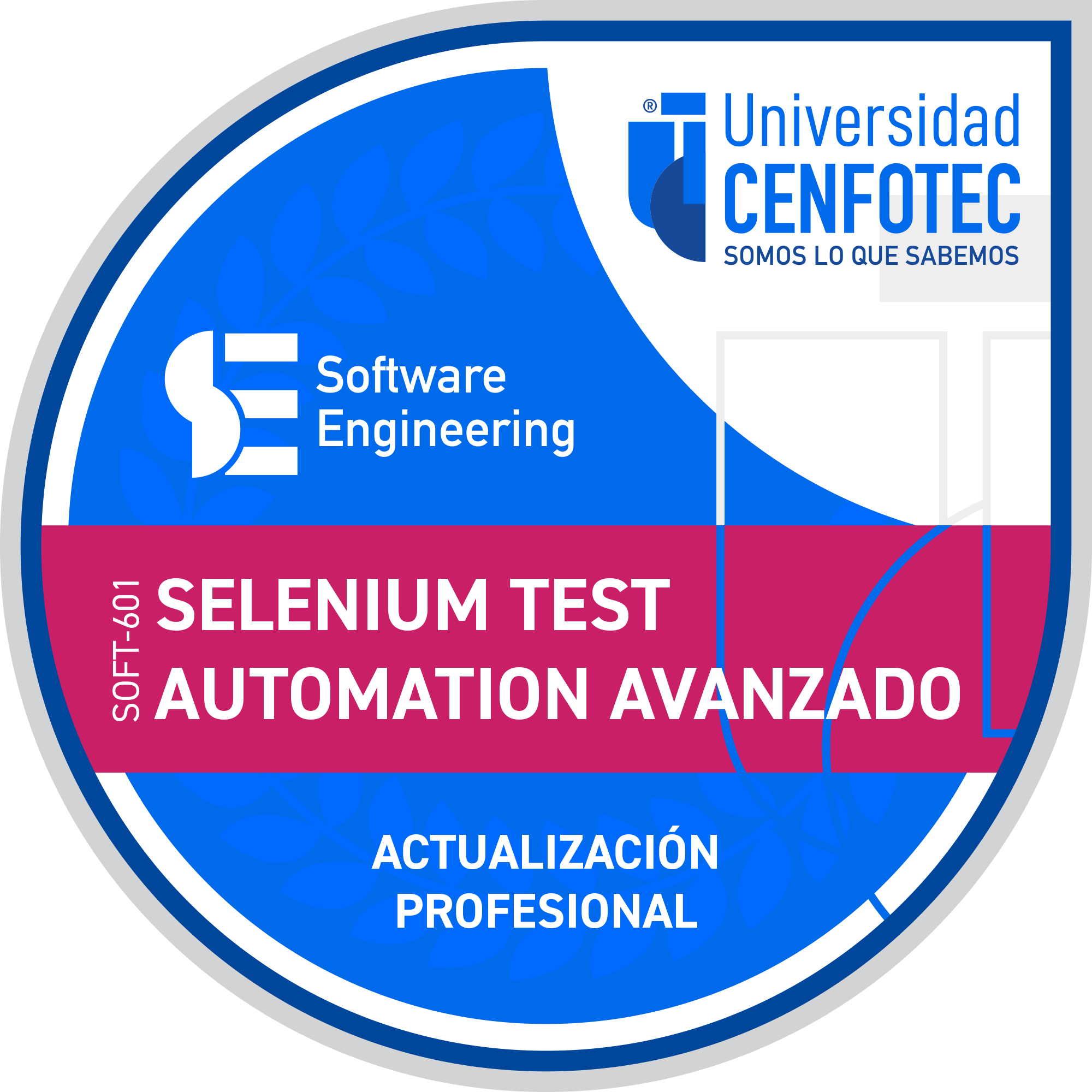 Selenium Test Automation Avanzado - Credly