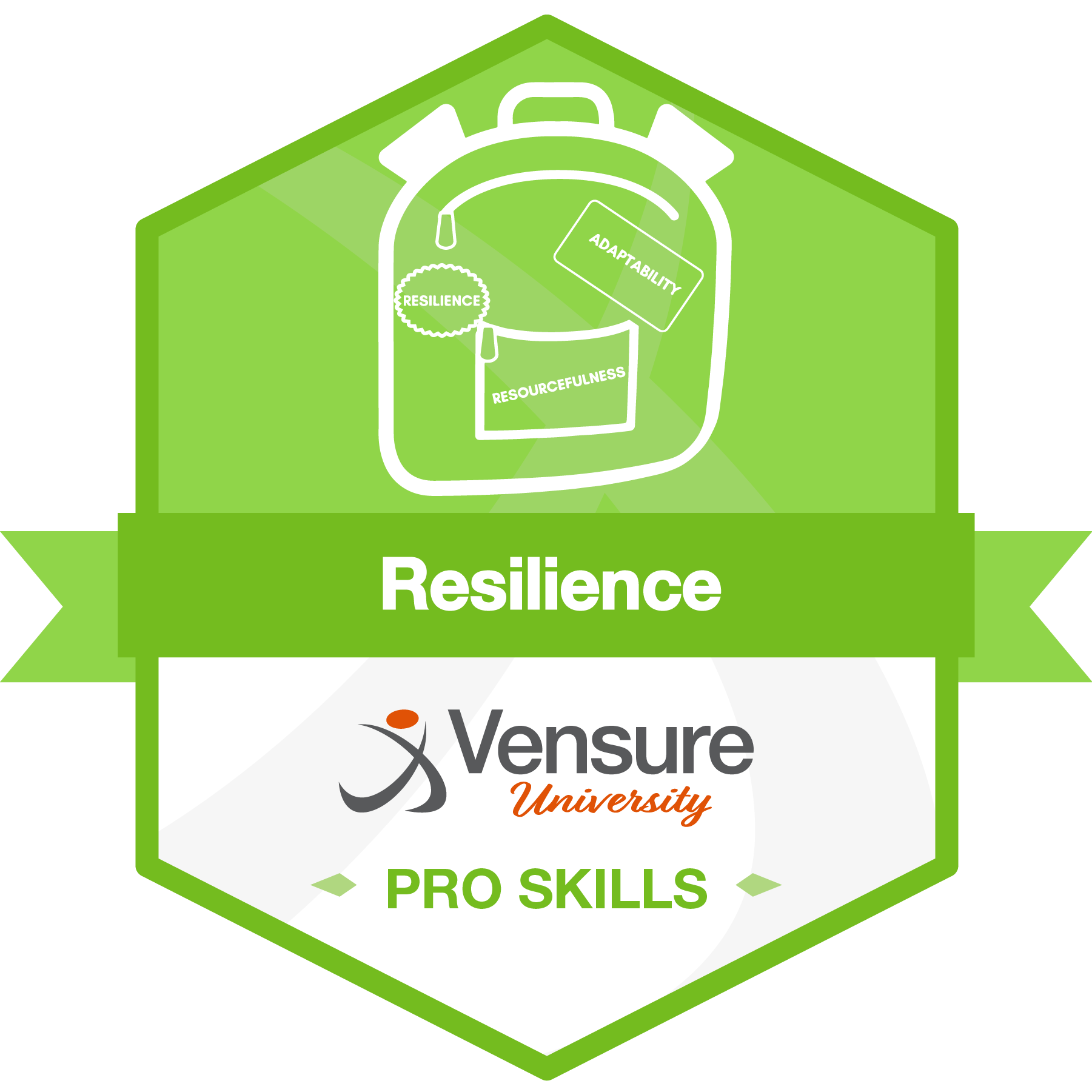 Career Compass: Power of Resilience