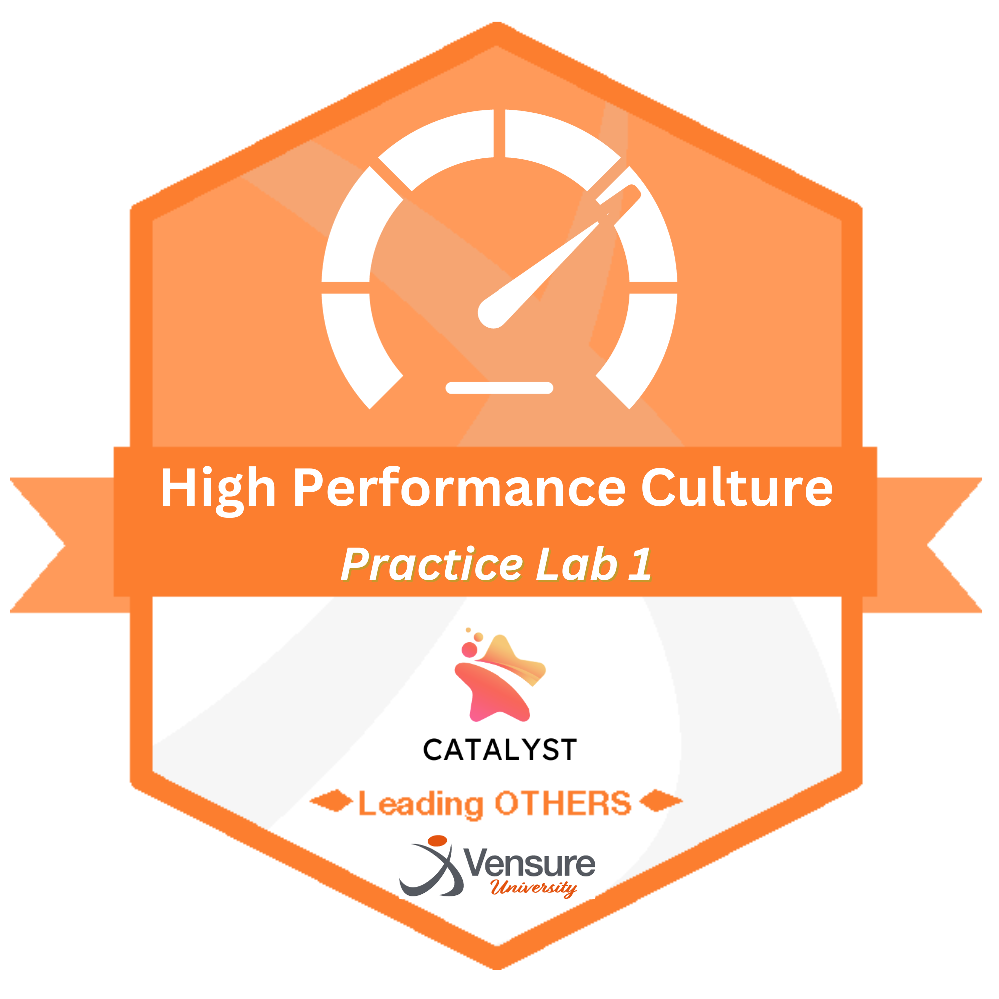 LEADING OTHERS: High Performance Culture – Practice Lab 1 (Catalyst Leadership Program)
