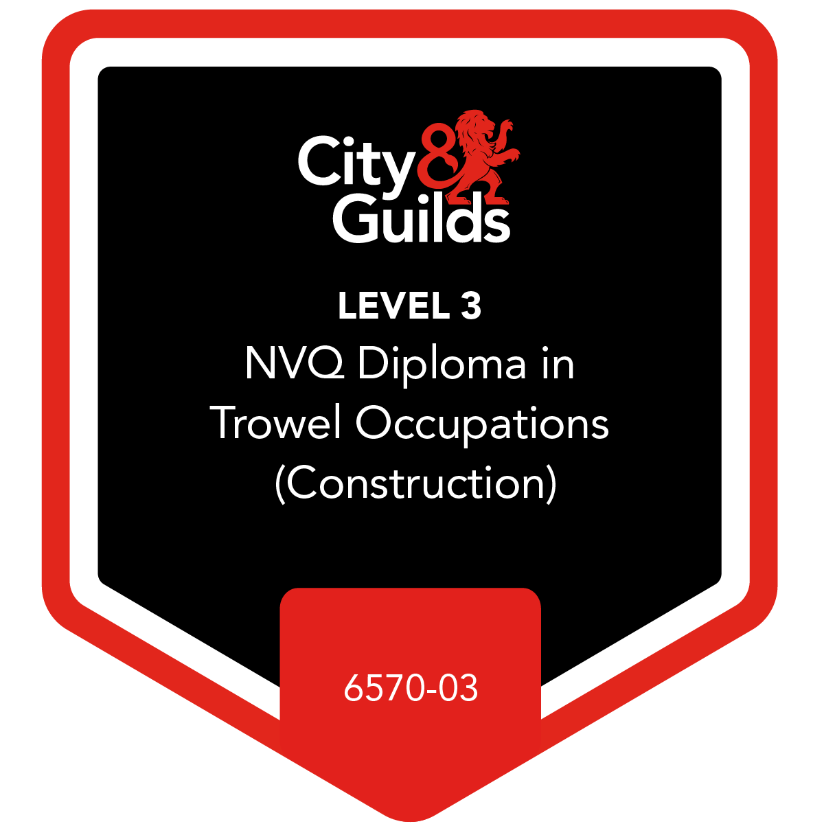 Level 3 NVQ Diploma in Trowel Occupations (Construction) 657003 Credly