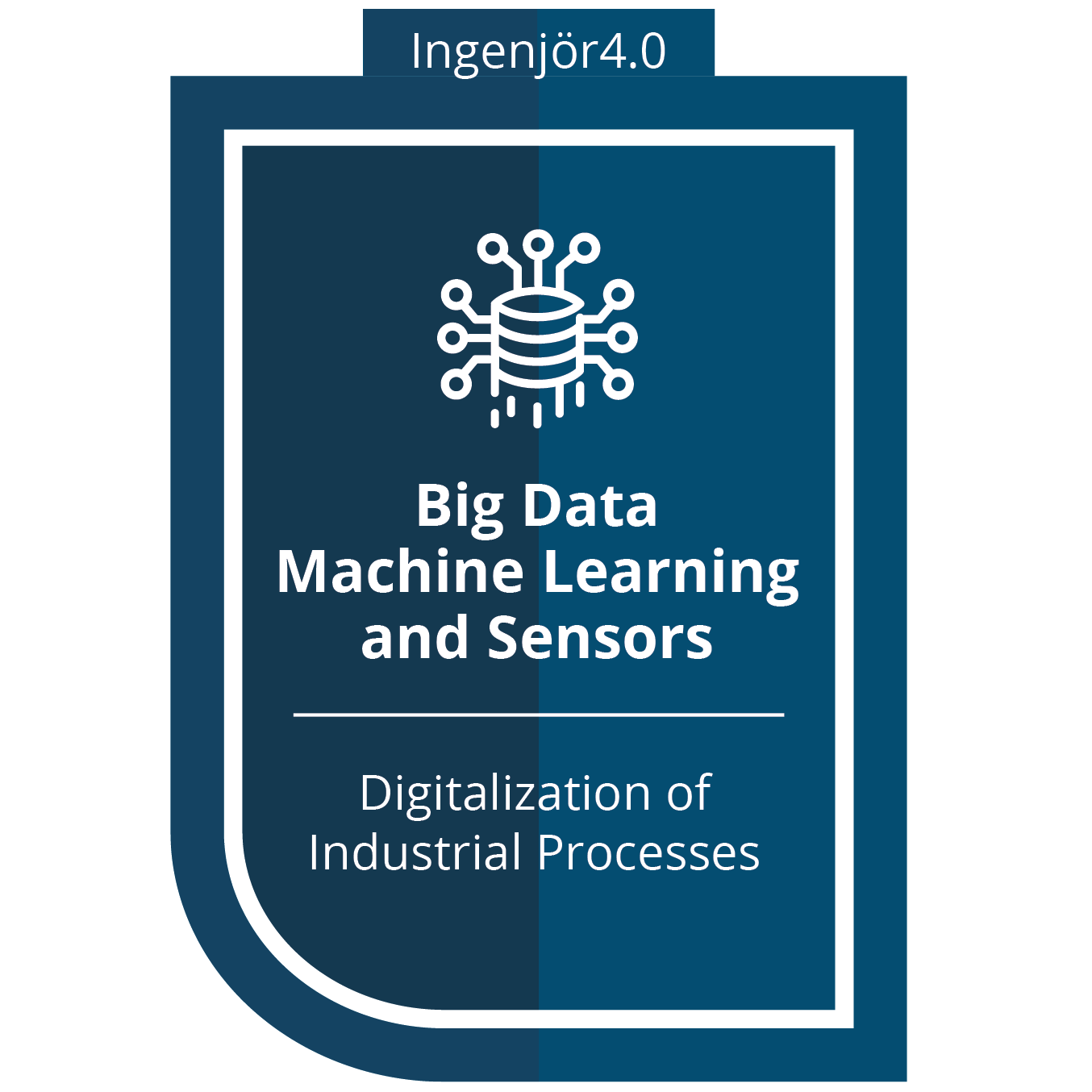 Digitalization of Industrial Processes