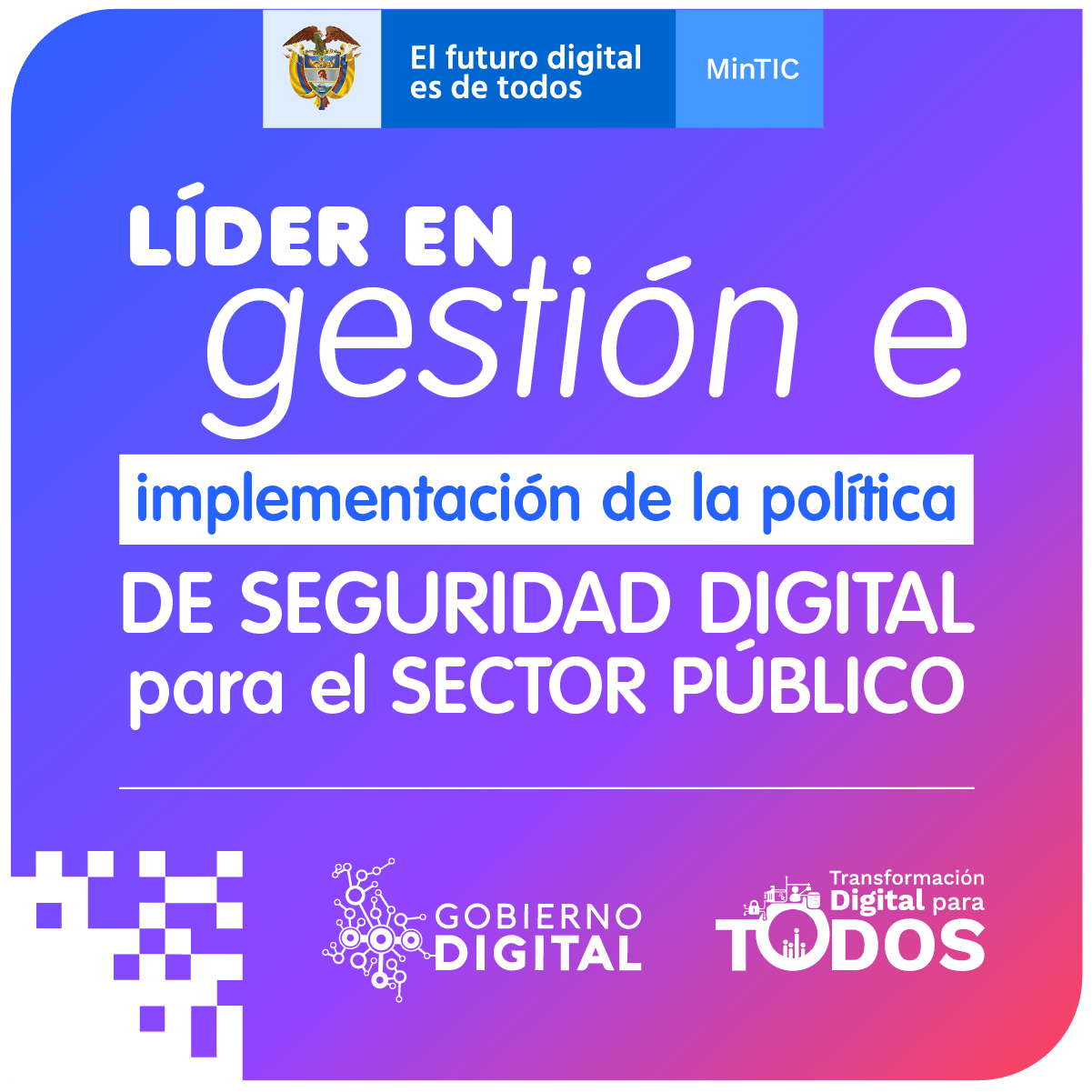 Líder en gestión e implementación de la política de seguridad digital para el sector público
