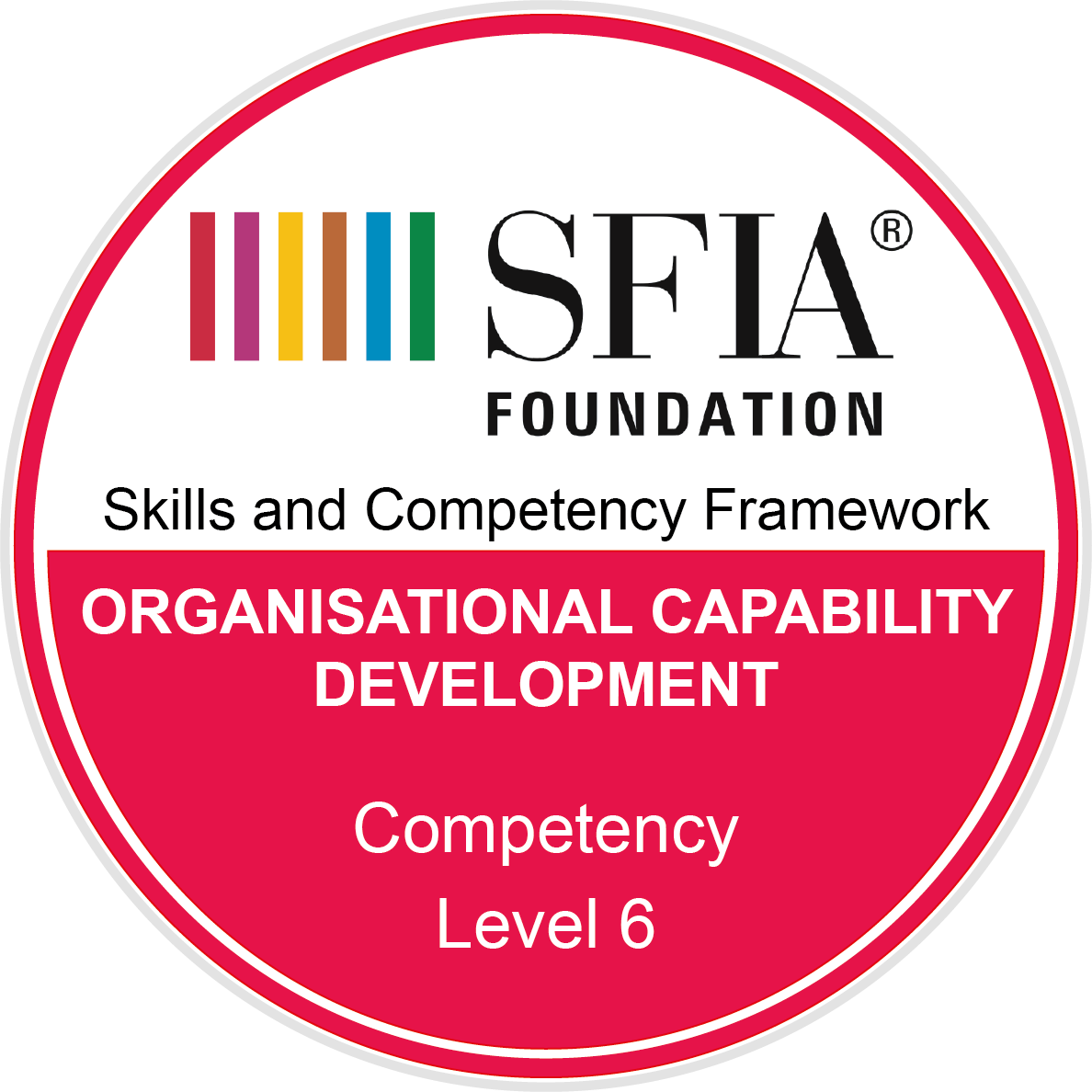 Organisational capability development - Competency - Level 6