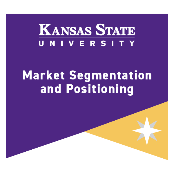 Market Segmentation and Positioning - Credly